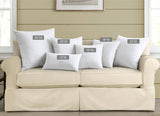 Natural Goose Feather Throw Pillow Inserts 20 x 20 (Set of 2, White), Décor