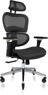 Office Chair with Lumbar Support High Back Mesh Desk Chair Best Desk Chair