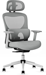 Ergonomic Mesh Office Chair, Swivel Desk Chair with Adjustable Lumbar Support, 3D