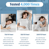 REDASW Canada Goose Down Bed Pillows 900 Fill Power Sleep Pillows with Soft 600 Thread Count 100% Cotton Pillowcase Bed Pillows for Any Sleepers (White, Queen (Pack of 2))