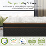 Queen Mattress, 14 Inch Hybrid Mattress with Gel Memory Foam