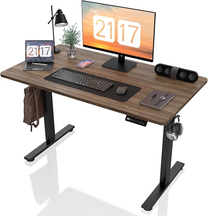 Electric Standing Desk Height Adjustable - 48 x 24 Inches Sit Stand up Desk & Memory Preset Ergonomic Rising Desks for Work, Home Office Workstation Gaming Rising Desk Study Table