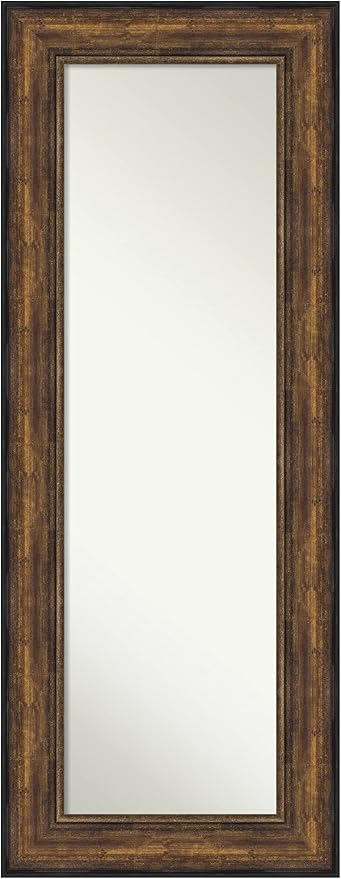 Door Wall Mirror, Full Length Mirror (55.5 x 21.5 in.), Ballroom Bronze Full Body Mirror and