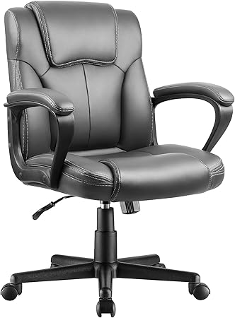 Executive Office Chair Swivel Task Seat with Ergonomic Mid-Back, Waist Support