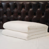 Silk Comforter for Winter, 100% Long-Strand Silk Filling, Natural & Breathable (Twin Size)