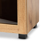 Mason Modern and Contemporary Oak Brown Finished Wood 2-Door Storage Cabinet