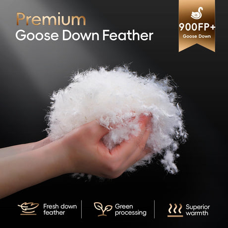 Goose Feather Down Comforter Queen Size - 900+ Fill Power Medium Warmth Duvet