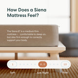 Siena 8” Twin Gel Memory Foam Mattress - Medium Firm - 180 Night Trial - Premium Pressure-Relieving Layers - 10 Year Manufacturer Warranty - CertiPUR-US® Certified