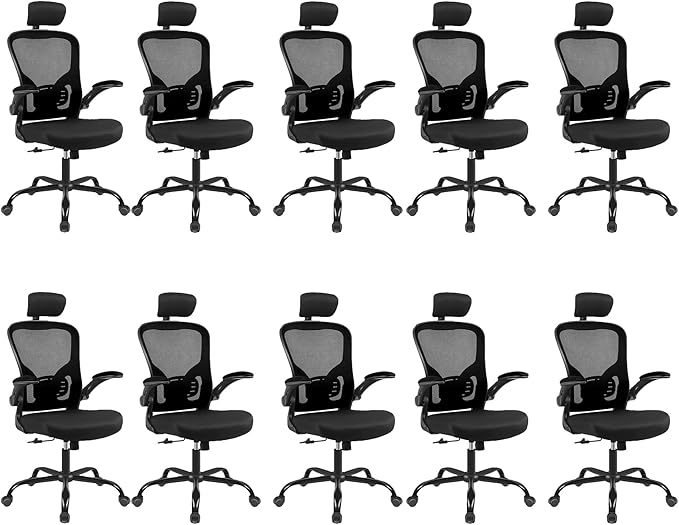 Ergonomic Office Desk Chair- Mesh Home Office Desk Chair with Headrests & Adjustable