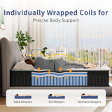 King Size Mattress, 12 Inch King Mattress in a Box, Memory Foam Hybrid Matress with Individual Pocket Spring