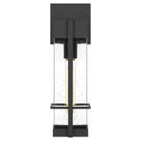 Wynn 1-Light Earth Black Outdoor Wall Lantern