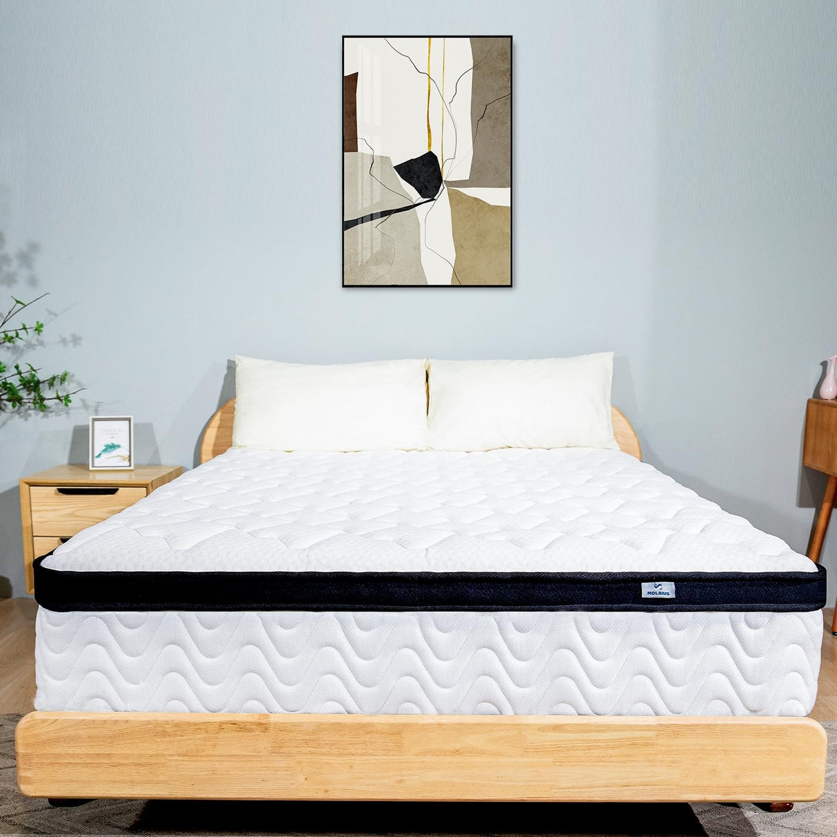 Queen Mattress 10 Inch | Queen Size Hybrid Mattresses in a Box