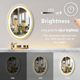 30x20 Inch Oval LED Bathroom Mirror - Gold Frame with Anti-Fog