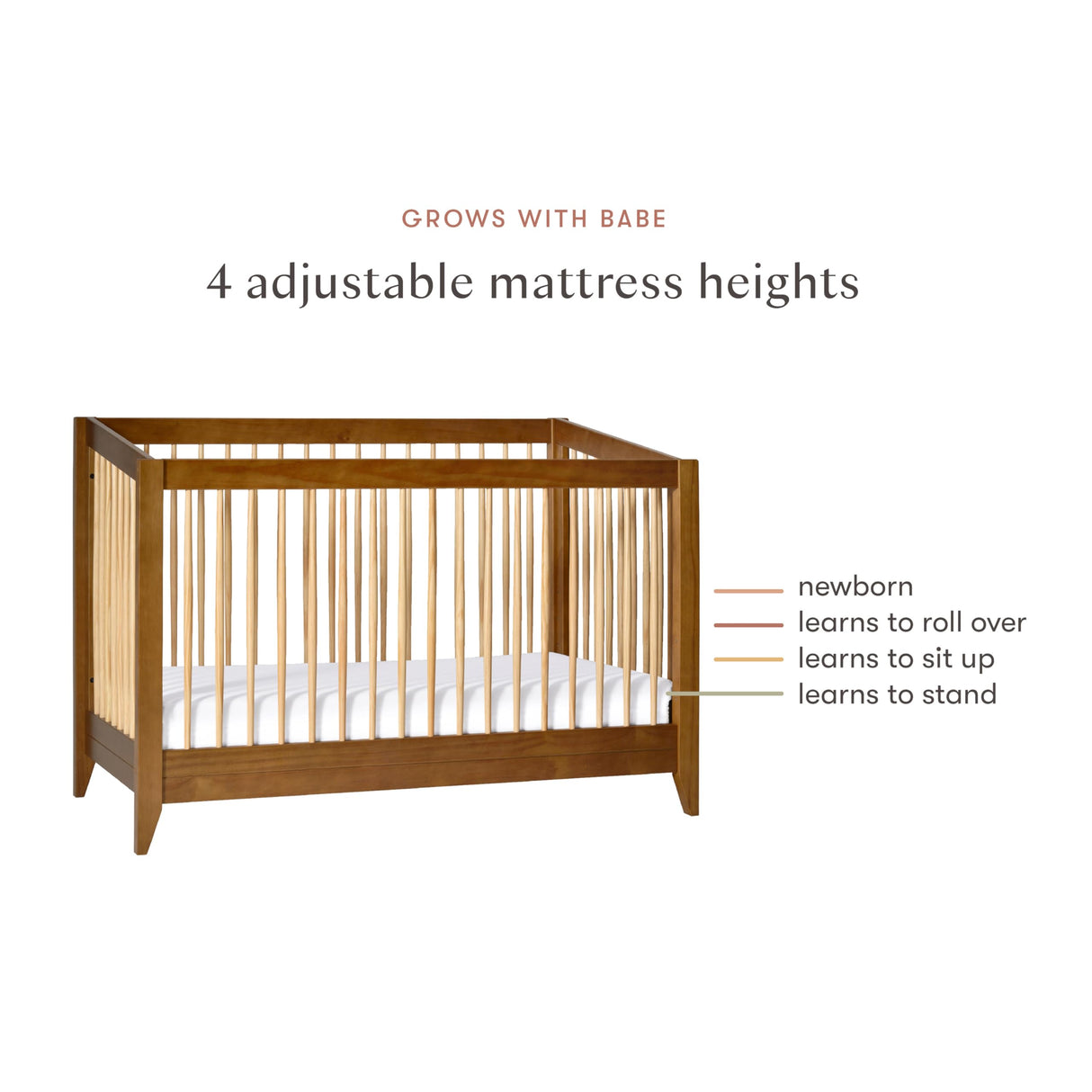 Sprout 4-in-1 Convertible Crib with Toddler Bed Conversion Kit in Chestnut and Natural,