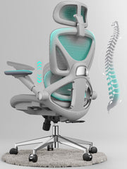 Ergonomic Mesh Office Chair - High Back with Adjustable Lumbar Support