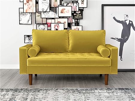 Womble 58 Inch Velvet Loveseat Sofa with Elegant Button Tufted Upholstery, Square Arms,