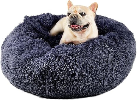 Dog Beds for Small Dogs, Donut Dog Bed with Blanket Attached, Calming Dog