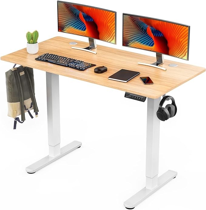 Electric Standing Desk,48 x 24in Adjustable Height Electric Stand up Desk Standing Computer Desk