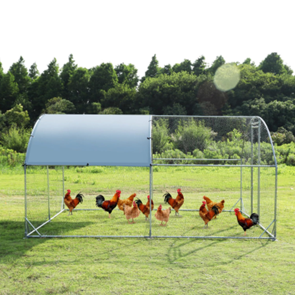 Large Metal Chicken Coop Walk-in Poultry Cage Heavy Duty Chicken Runs