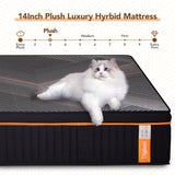 King Mattress, 14 Inch Plush Hybrid Mattress, Black Memory Foam