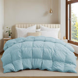 Goose Feather Down Comforter - Lightweight Goose Down Fiber Duvet Insert, Cloud-Like