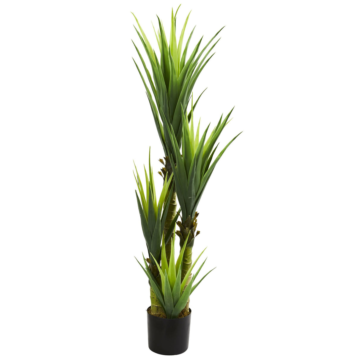 6343 4.5' Dracaena Plant, Green