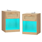 Rattan Nightstands Set of 2, Nightstands with Charging Station & LED Light, Night Stands