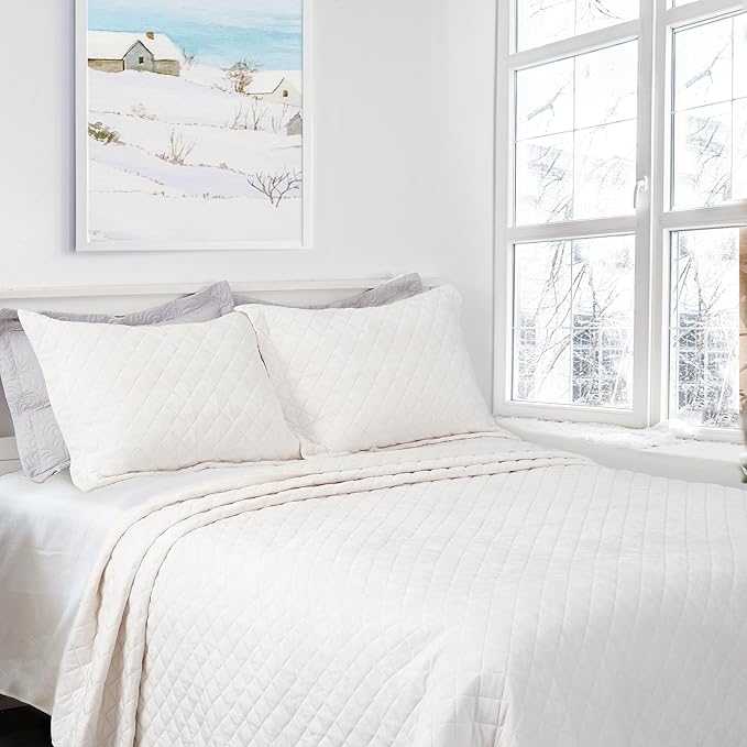 Luxury Velvet Queen Quilt Set, Ultra Soft Lightweight Velvet Comforter Set