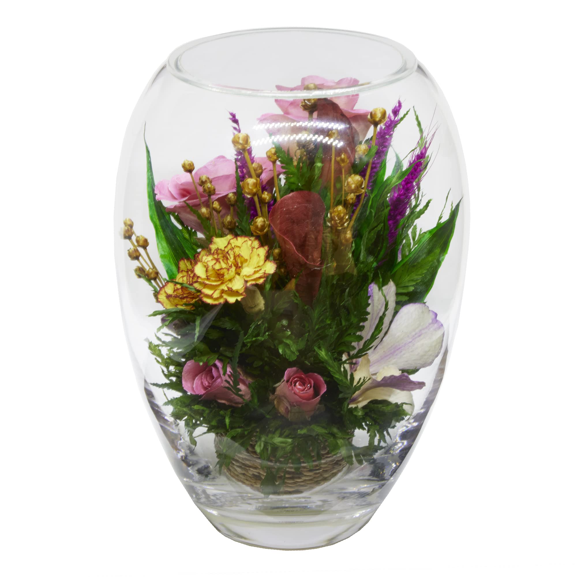 Orchid Arrangement | Preserved Orchids in Glass Vase | Long-Lasting Flowers