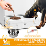 Pet Feeder Station with Storage & Double Bowls