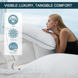 Natural Goose Down Pillows - Soft and Support Down Bed Pillow