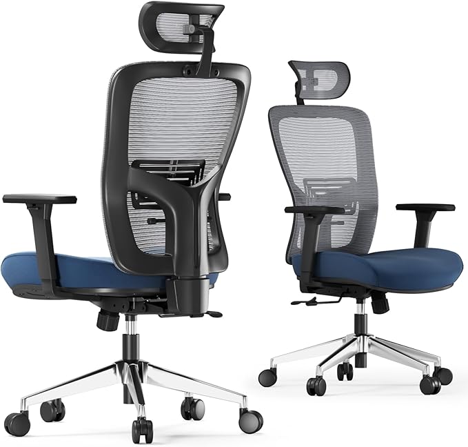 Premium Home Office Chair Ergonomic, Office Desk Chair Lumbar Support, Work