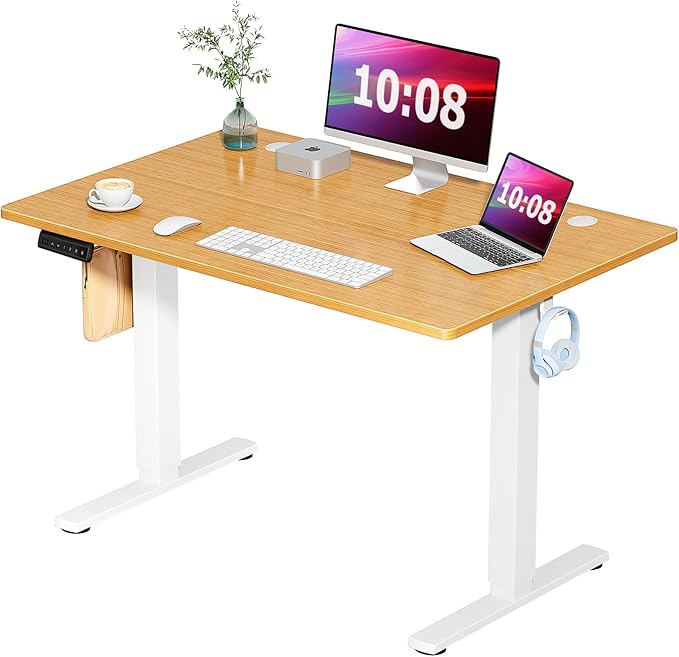 Standing Desk, 48 x 24 in Electric Height Adjustable Computer Desk for Home Office