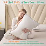 Luxury White Goose Down Pillows King Size - 750 Fill Power - 500 Thread