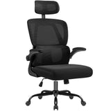 Ergonomic Office Chair, High Back with Breathable Mesh Seat,Adjustable Lumbar Support