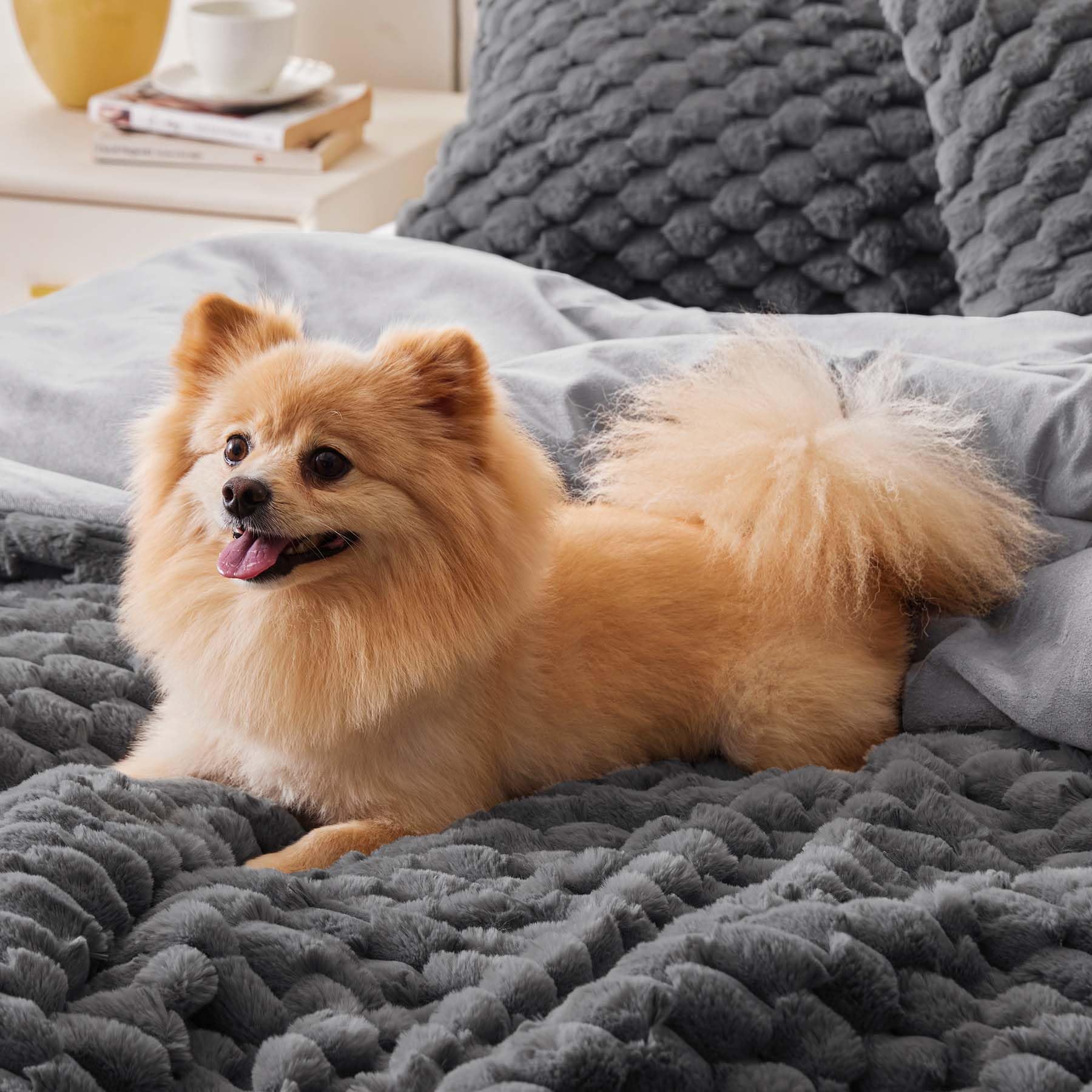 BEDELITE Fluffy Queen Comforter Set - Grey Fleece Soft Comforter for Queen Size Bed, Luxury Warm Bedding Set for Winter, Fuzzy Bed Set 3 Pieces (1 Comforter, 2 Pillowcases)