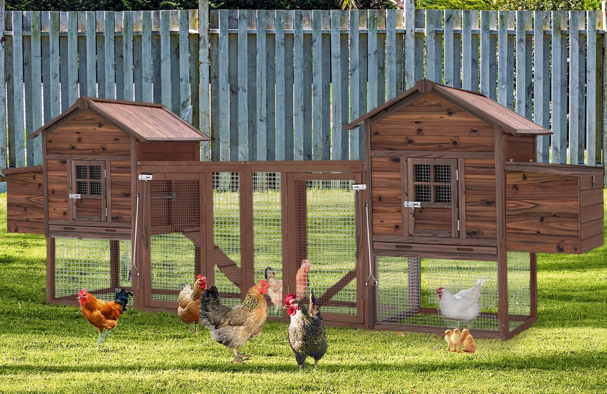 Outdoor Large Chicken Coop for Chickens, Wooden Hen house, Chicken Cage