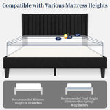 Queen Upholstered Platform Bed Frame with Fabric Headboard - Black