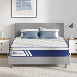 Queen Mattress, 12 Inch Queen Size Hybrid Mattress with Individual Pocket Spring