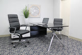 CaressoftPlus Executive Chair, Traditional, Metal Chrome Finish