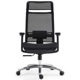 Ergonomic Office Chair with Mesh Seat & Adjustable Lumbar Support, High Back Desk