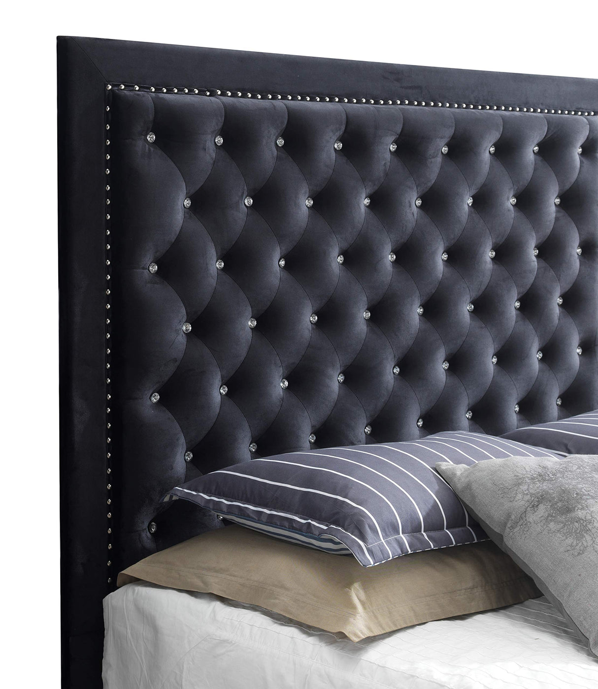 Alba Velvet Upholstered Queen Bed in Black