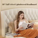 Queen Velvet Upholstered Sleigh Bed Frame with Wingback Headboard