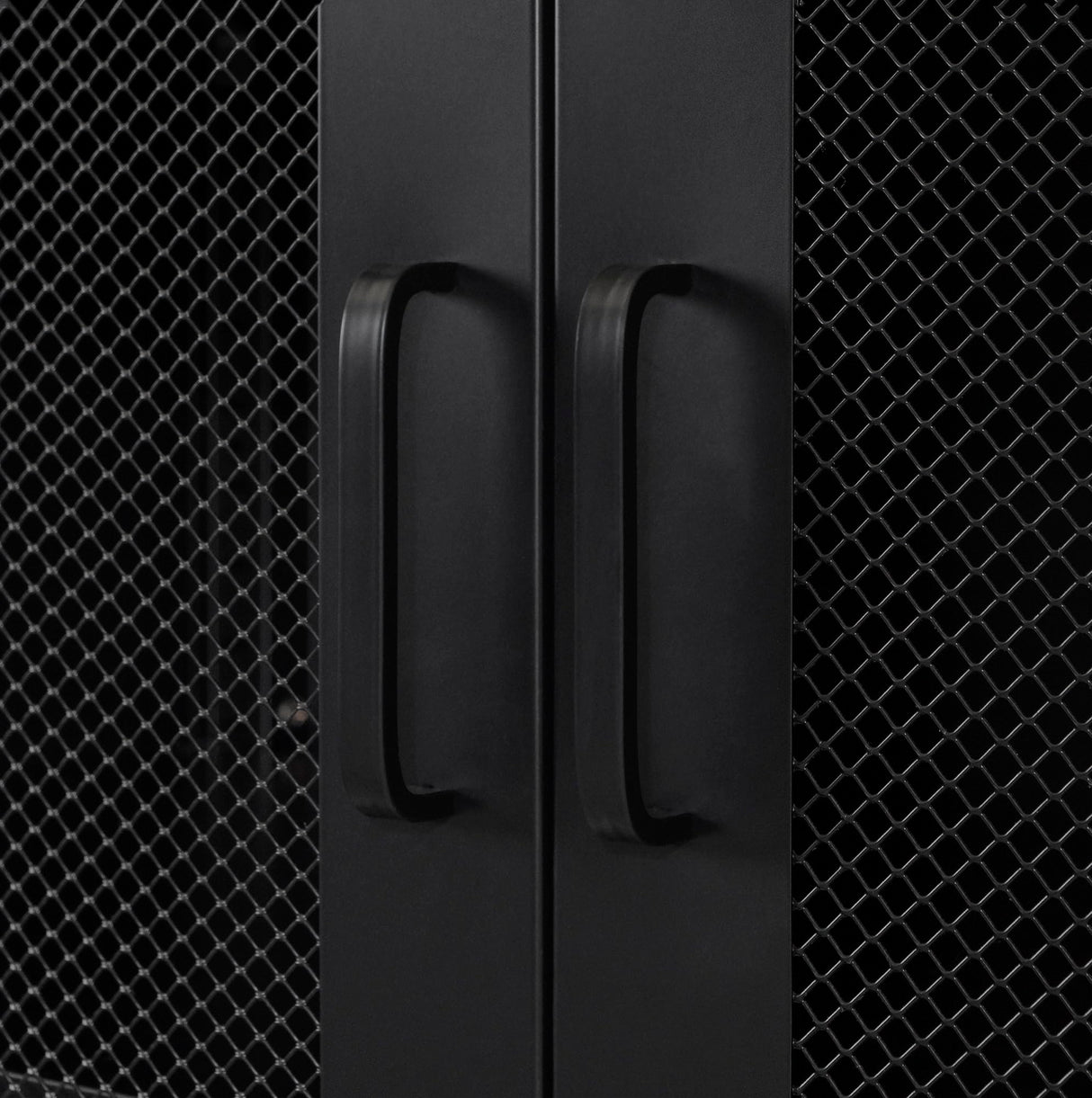 Crea Metal Mesh 2-Door Accent Cabinet, Black