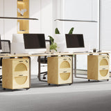 2 Drawer File Cabinet with Charging Station, Rattan Filing Cabinet with Lock