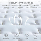 Queen Mattress, 14 Inch Queen Size Hybrid Mattress with Memory Foam and Individual