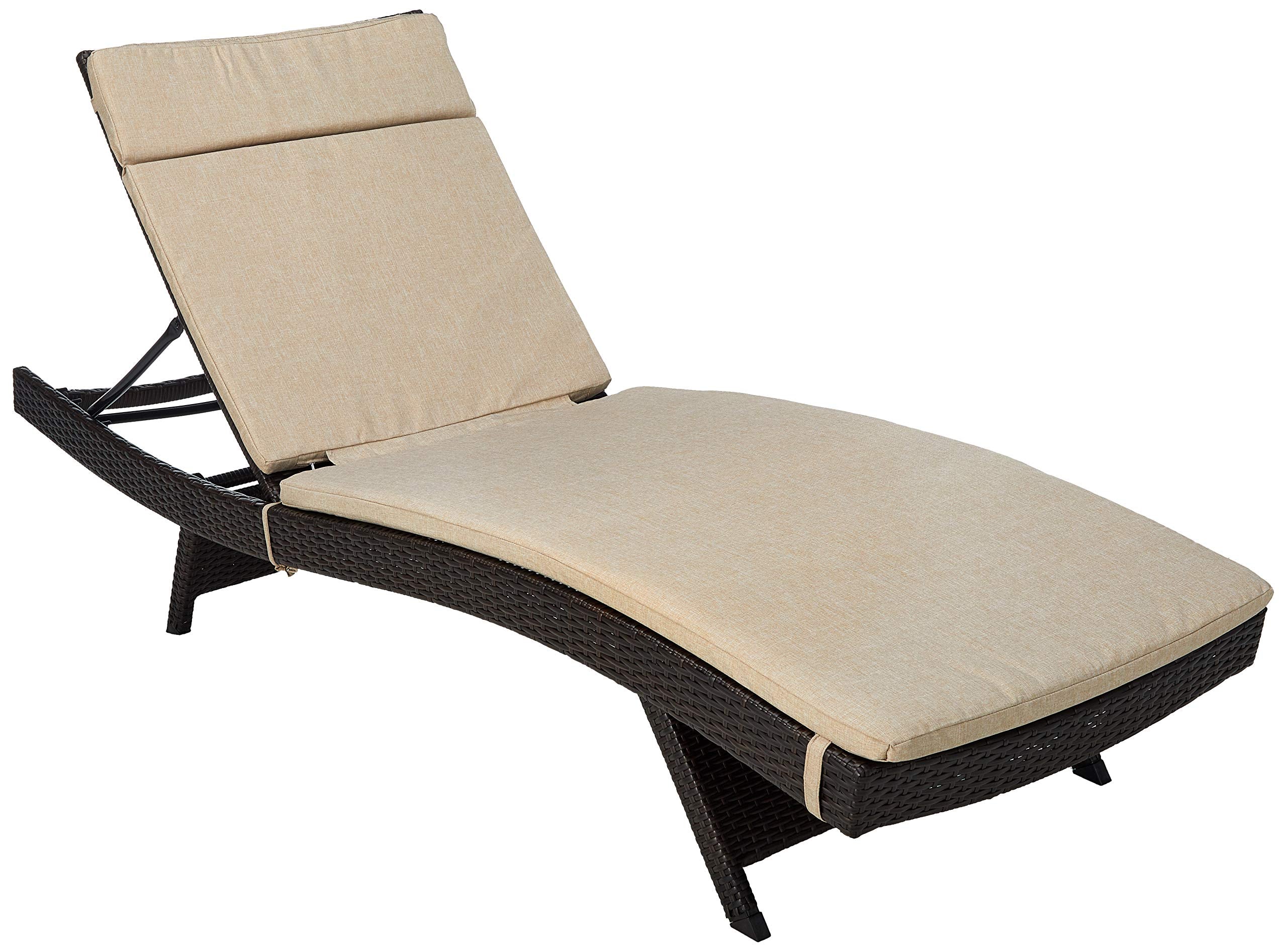 Salem Outdoor Wicker Adjustable Chaise Lounge with Cushions