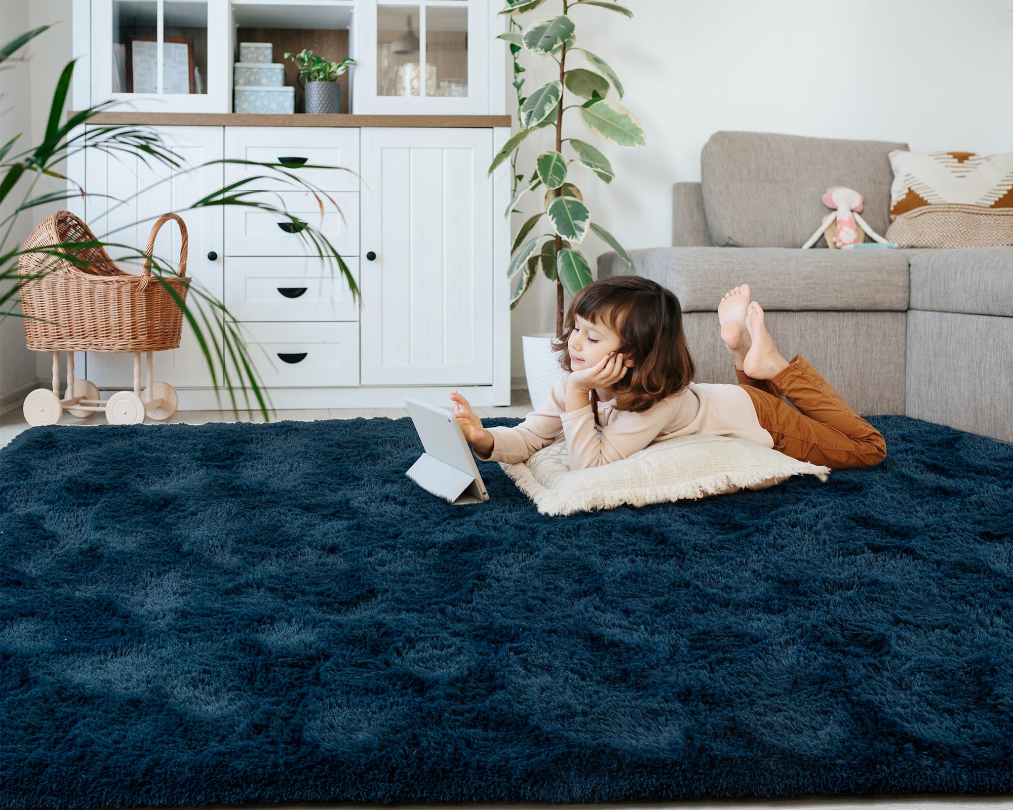 Rug for Living Room 6x9 Feet Area Rug for Bedroom Super Soft Shaggy