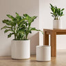 Large Plant Pots Set, 10/8/6 Inch Ceramic Planters