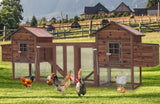 Outdoor Large Chicken Coop for Chickens, Wooden Hen house, Chicken Cage